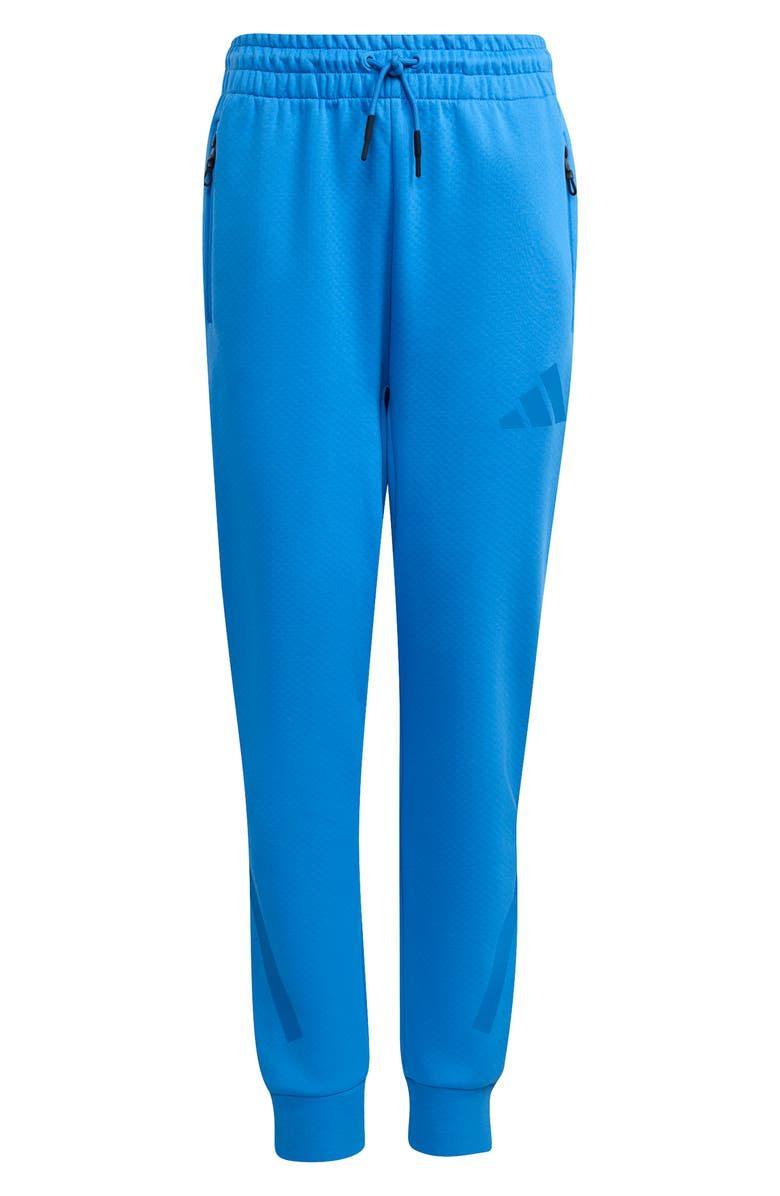 adidas Originals Kids' Z-N-E Primeknit Pants, Main, color, Ray Blue/ Bright Royal