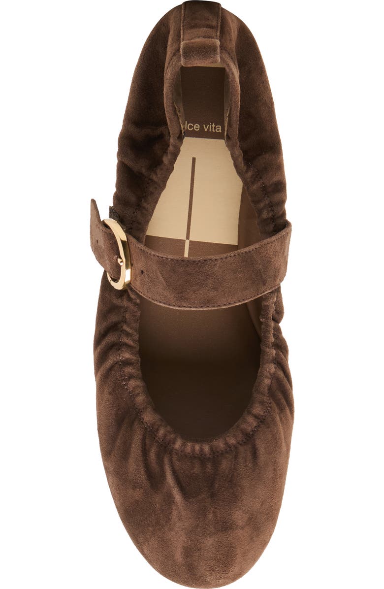 Dolce Vita Caely Mary Jane Flat, Alternate, color, Dk Brown Suede