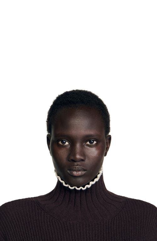 Sandro Turtleneck Sweater In Brown