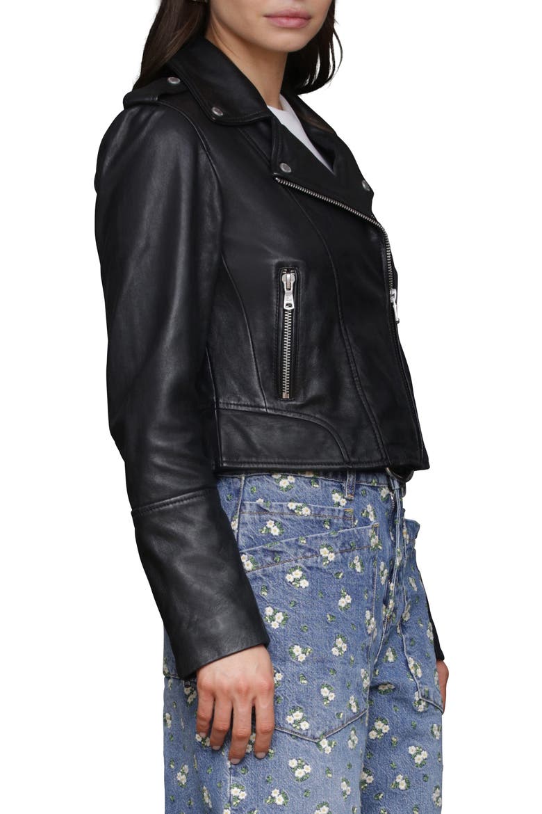 Leather Biker Jacket, Alternate, color, BLACK