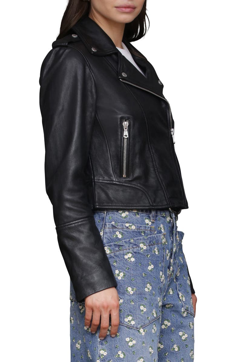 Avec Les Filles Leather Biker Jacket, Alternate, color,
