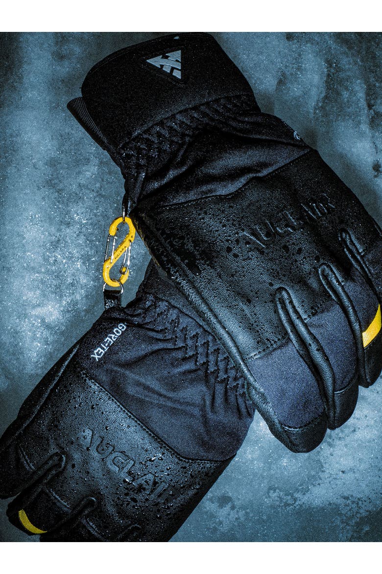 Icecrusher Gtx Warm Gloves, Alternate, color, BEIGE/BLACK
