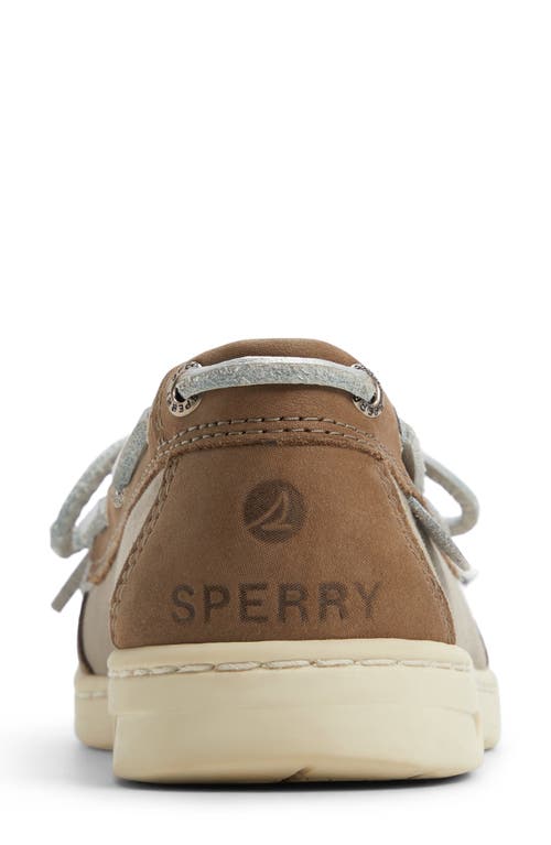 Sperry Angelfish Loafer In Multi