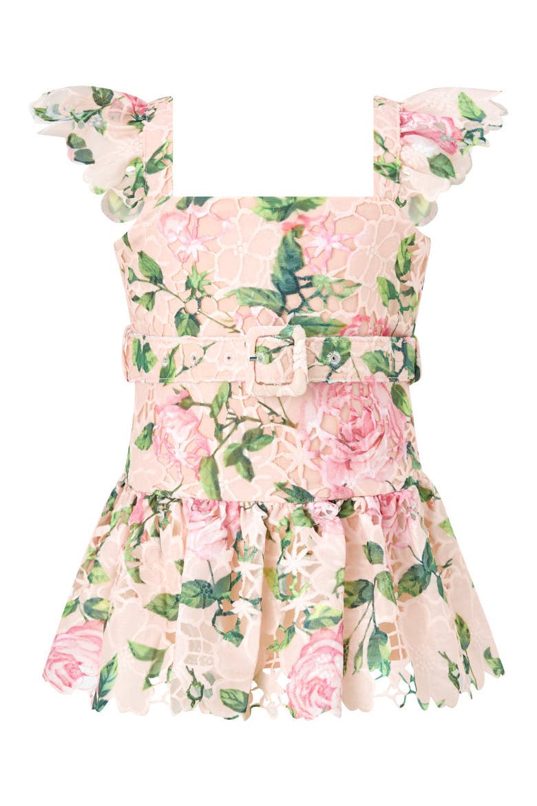 Leonora Embroidered Mini Dress, Main, color, Floral