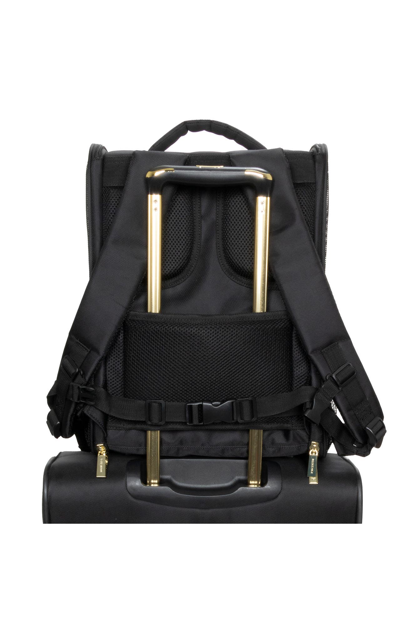 Pet Carrier Backpack