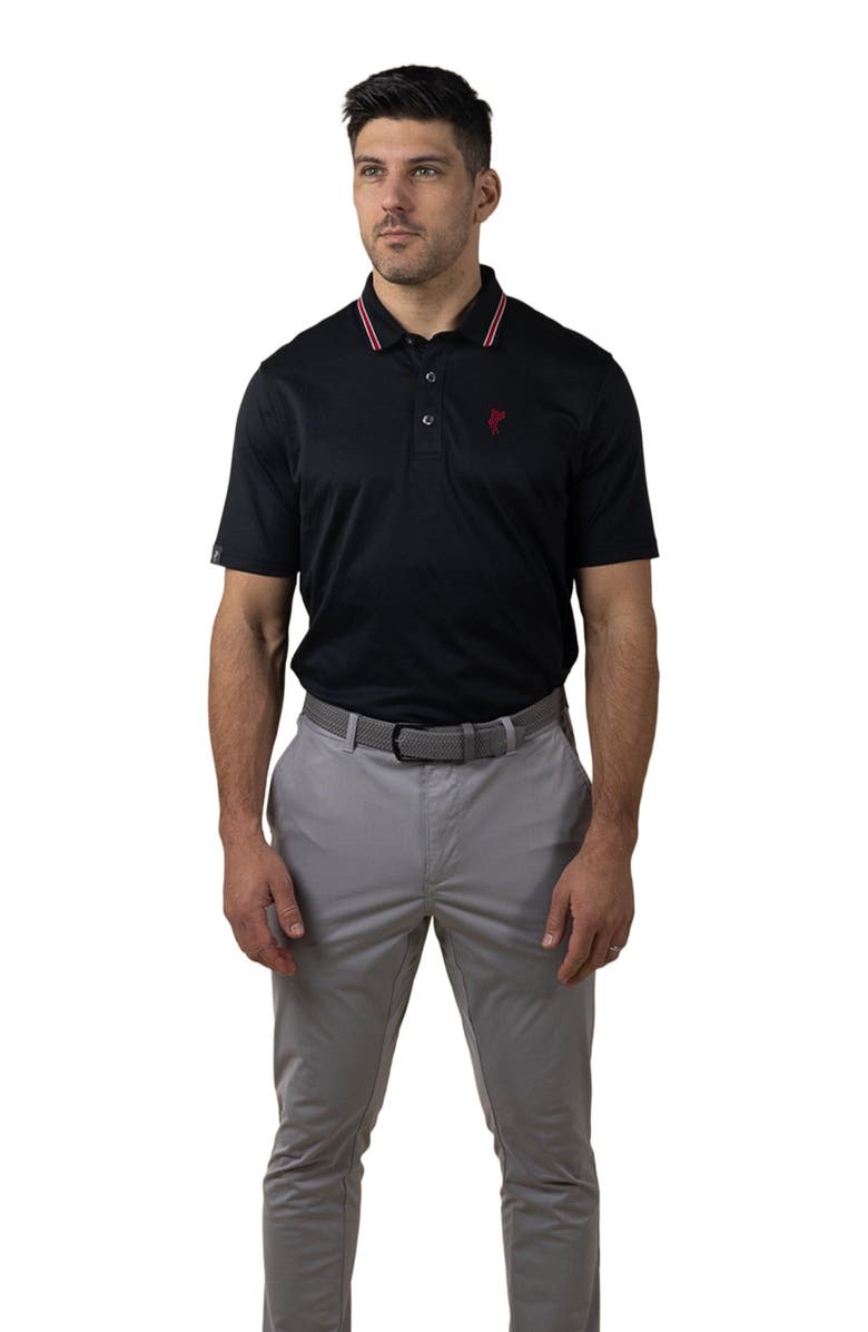 ASHWORTH GOLF The  Original  Polo, Main, color, Black/Core Red