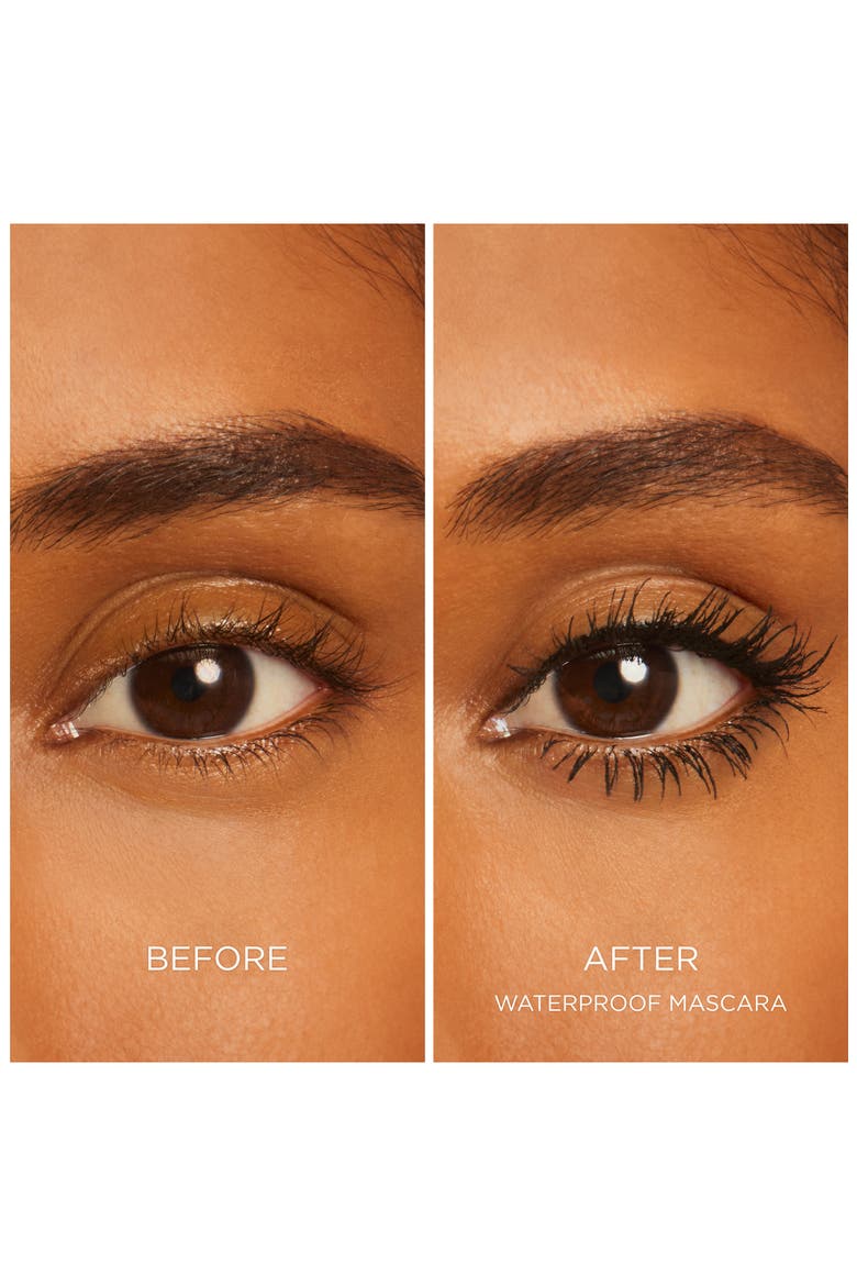 Fabulous Eyes Waterproof Mascara, Alternate, color, BLACK