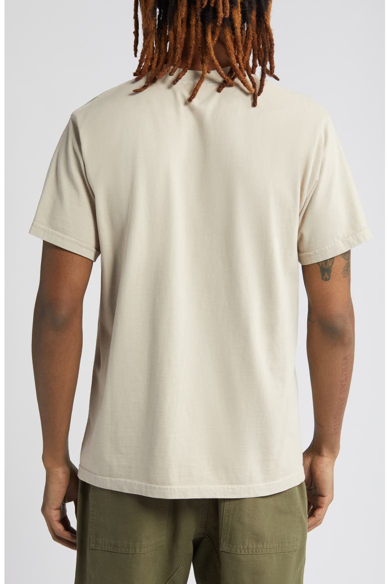 Sunny Side Up Organic Cotton Graphic T-Shirt, Alternate, color, STONE