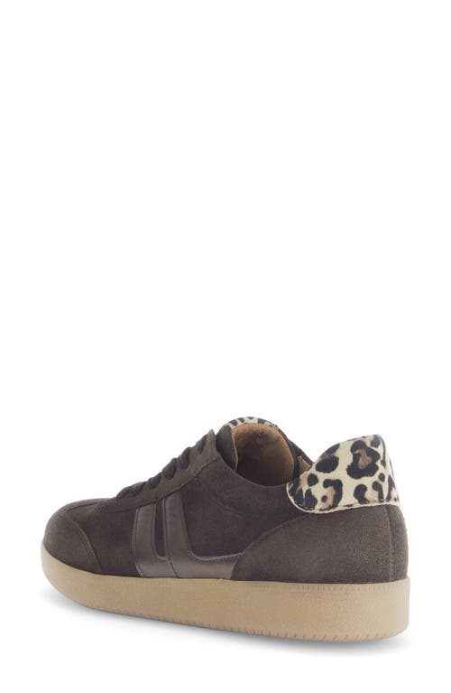 Gabor Sneaker Lh Rfb Bf In Brown