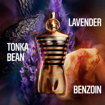 香水(男性用) JEAN PAUL GAULTIER ''le male''ELIXIR Amazon.com : Le Male Elixir by Jean Paul Gaultier for Men