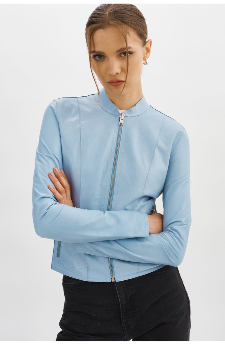 LAMARQUE Chapin | Reversible Leather Bomber, Alternate, color, Baby Blue/Silver