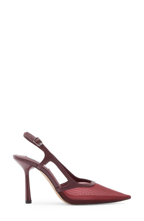 Steve Madden Scotlynn Slingback Pump In Burgundy