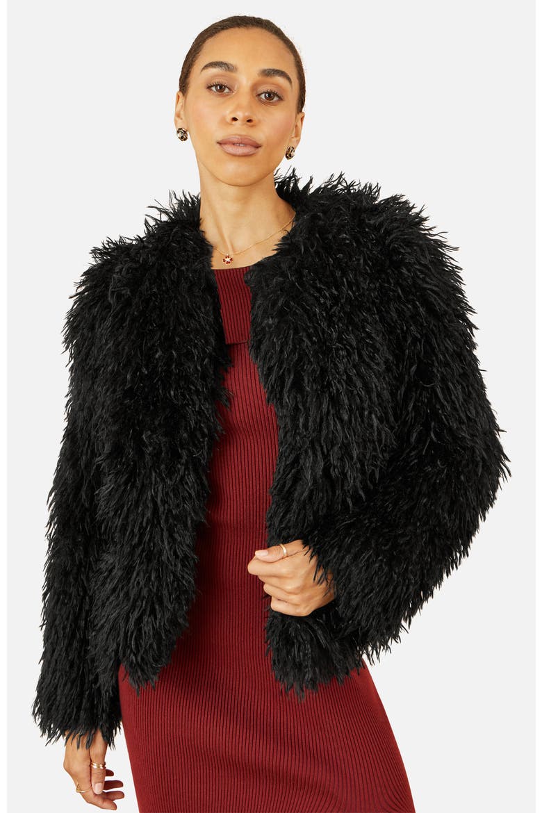 Fluffy Cropped Faux Fur Coat, Main, color, Black