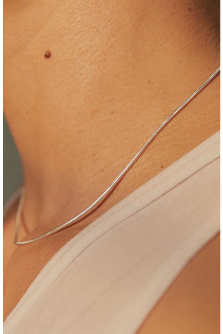 Snake Chain Necklace, Alternate, color, Silver