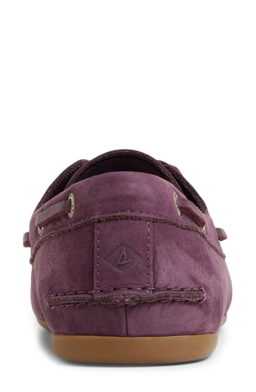 Sperry Top-sider® Slim Boat Shoe In Purple