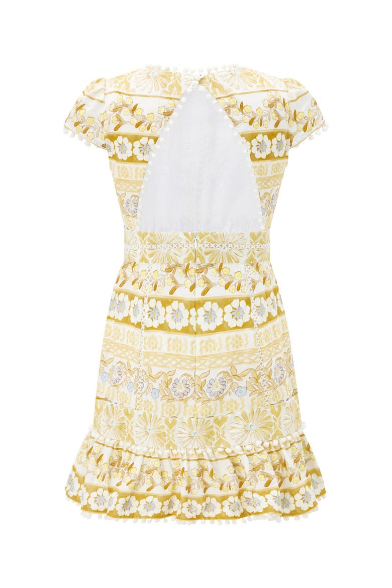 Lara Embroidered Mini Dress, Alternate, color, Multi
