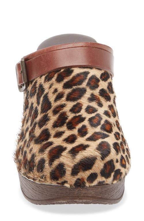 Chocolat Blu Faro Genuine Calf Hair Platform Mule In Multi