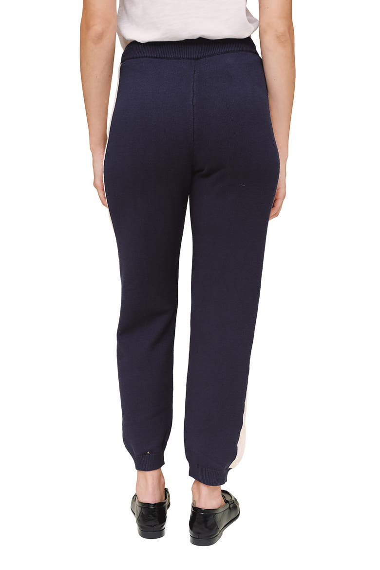 Contrast Stripe Knit Joggers, Alternate, color, MIDNIGHT FROST