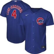 Nike Youth Nike Pete Crow-Armstrong Rush Blue Chicago Cubs Alternate Replica Jersey