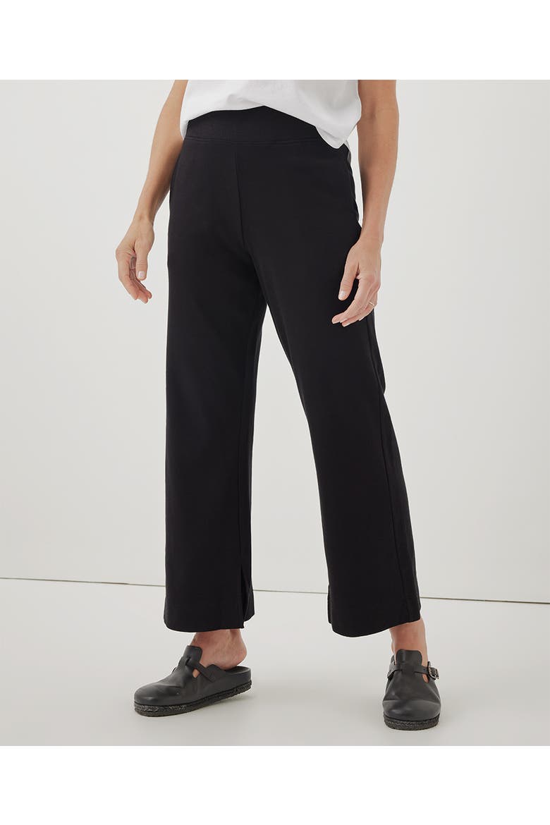 Organic Cotton Airplane Pant, Alternate, color, Black