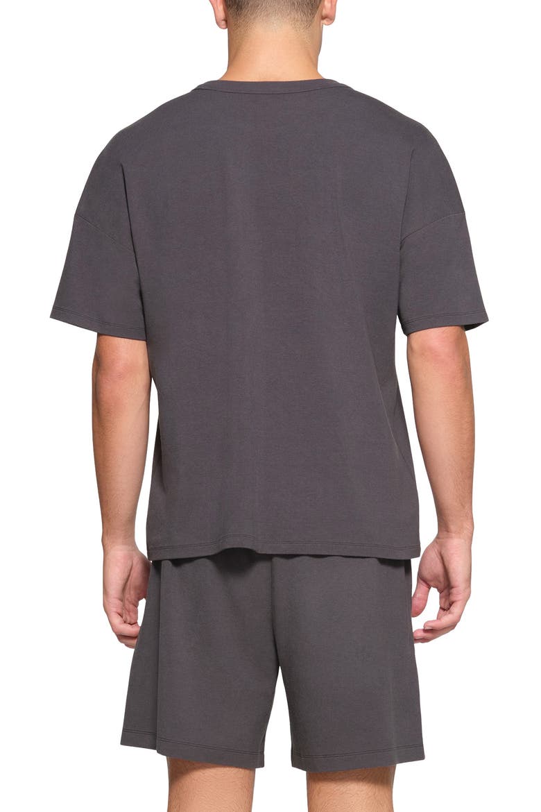 Oversize T-Shirt, Alternate, color, ASH