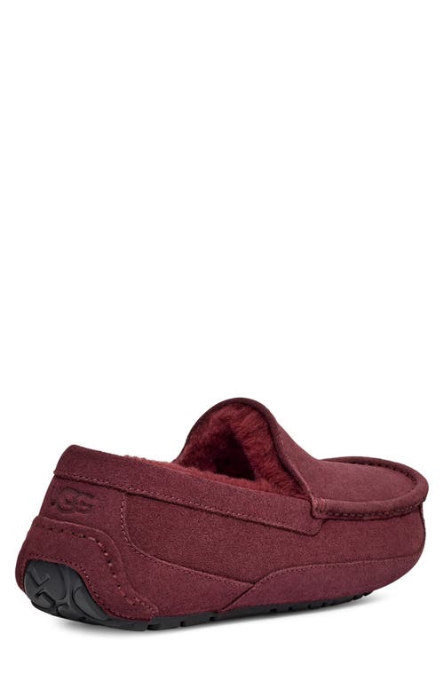 Ugg Ascot Slipper In Burgundy