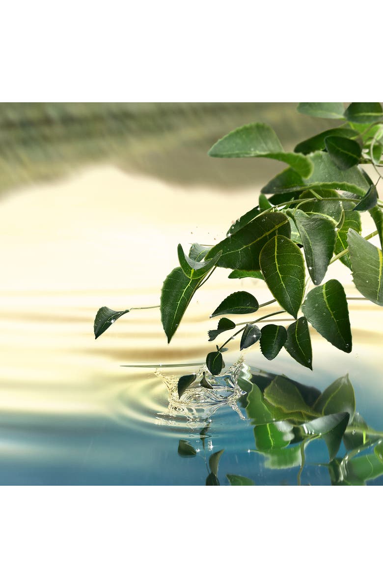 Estée Lauder Luxury Collection Tender Light Eau de Parfum, Alternate, color,