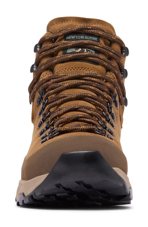 Columbia Newton Alpine Waterproof Hiking Boot In Brown