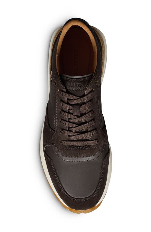 Allen Edmonds Lionel Low Top Sneaker In Brown