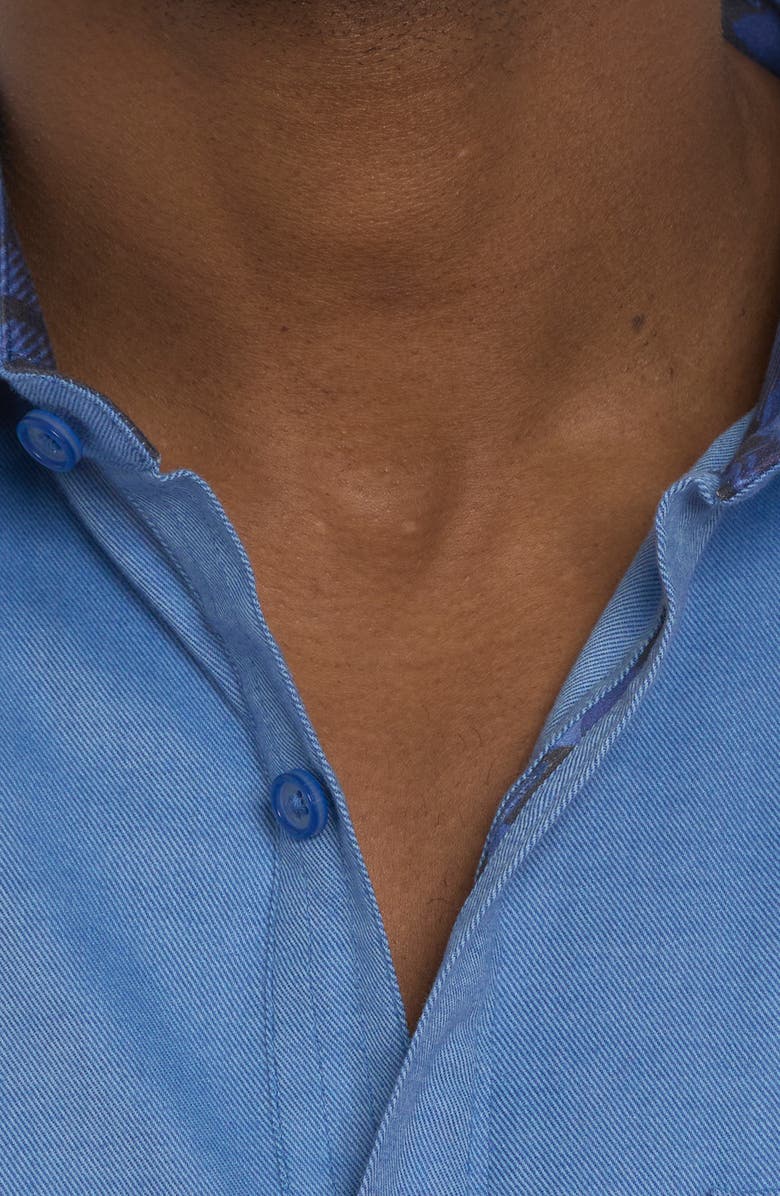 Robert Graham Santa Croce Cotton Blend Button-Up Shirt, Alternate, color,