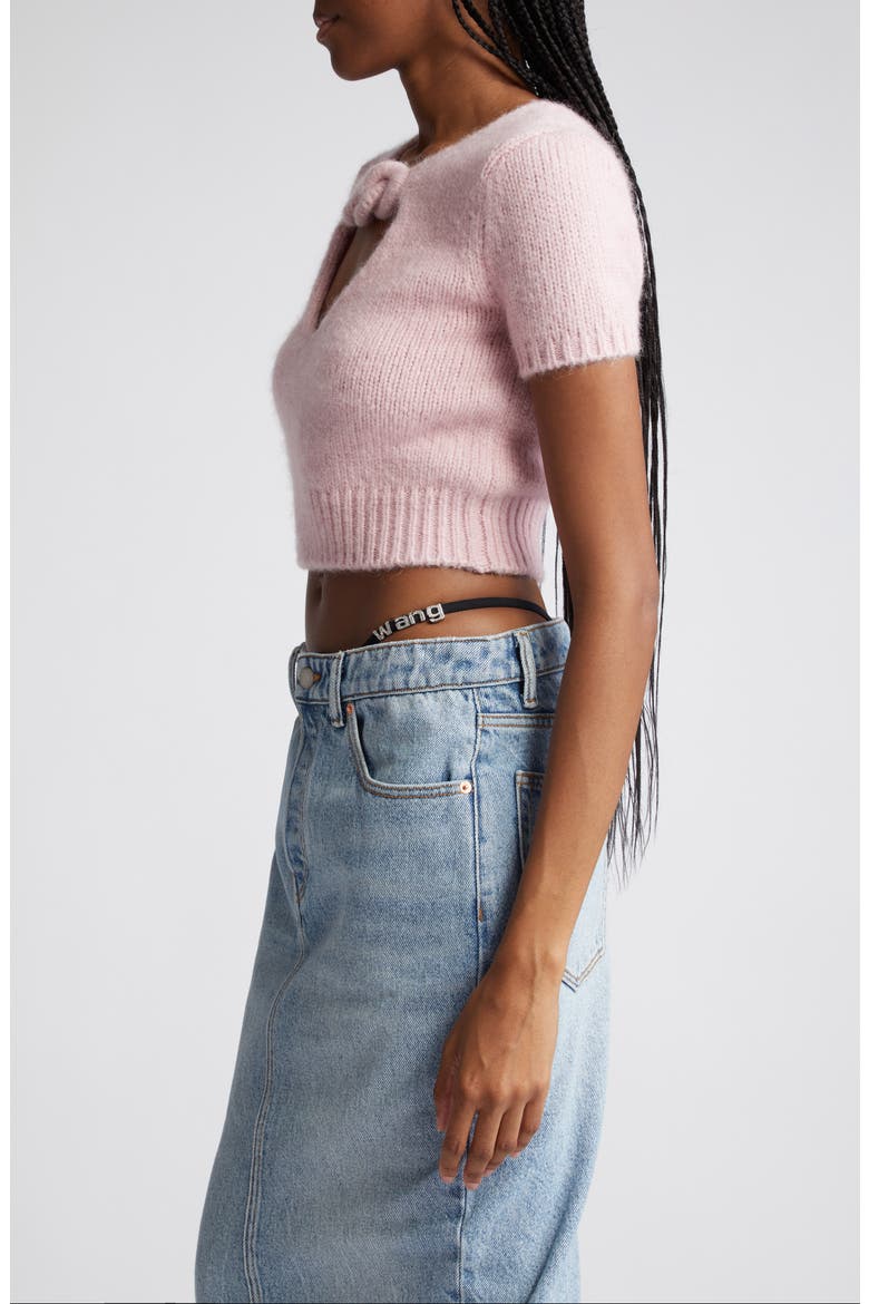Chain Link Detail Alpaca Blend Crop Sweater, Alternate, color, CRADLE PINK