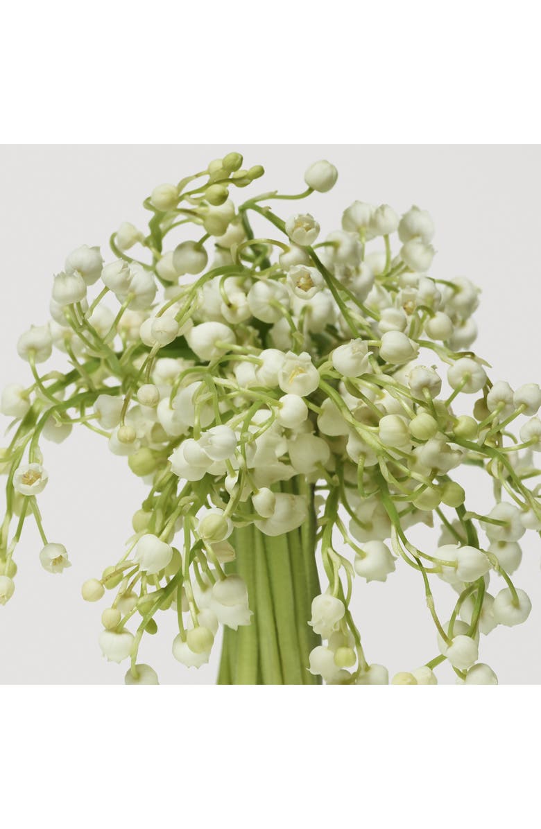 Donna Karan New York Cashmere Mist Deodorant & Antiperspirant Trio Set $90 Value, Alternate, color,