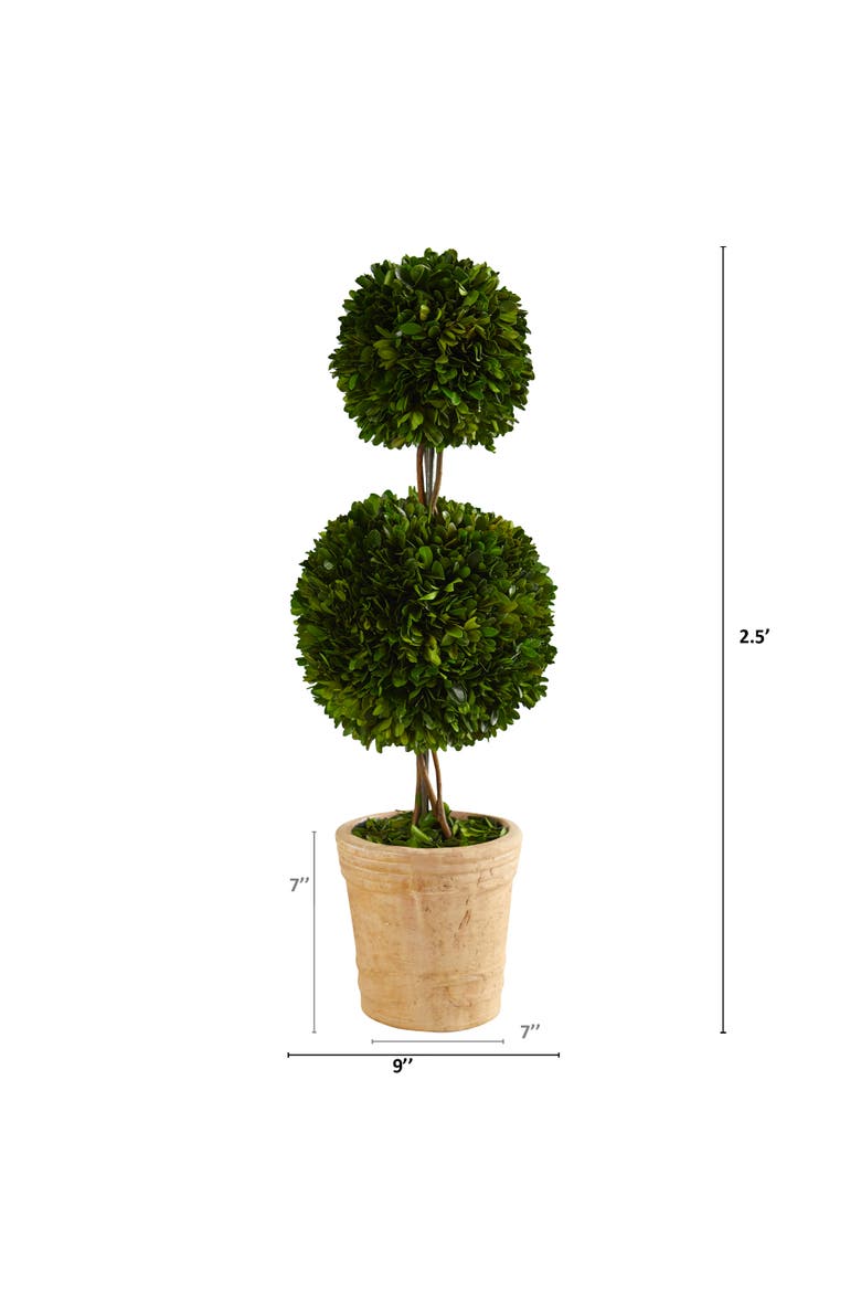 2.5-ft Preserved Boxwood Double Ball Topiary Tree in Decorative Planter, Alternate, color, Green
