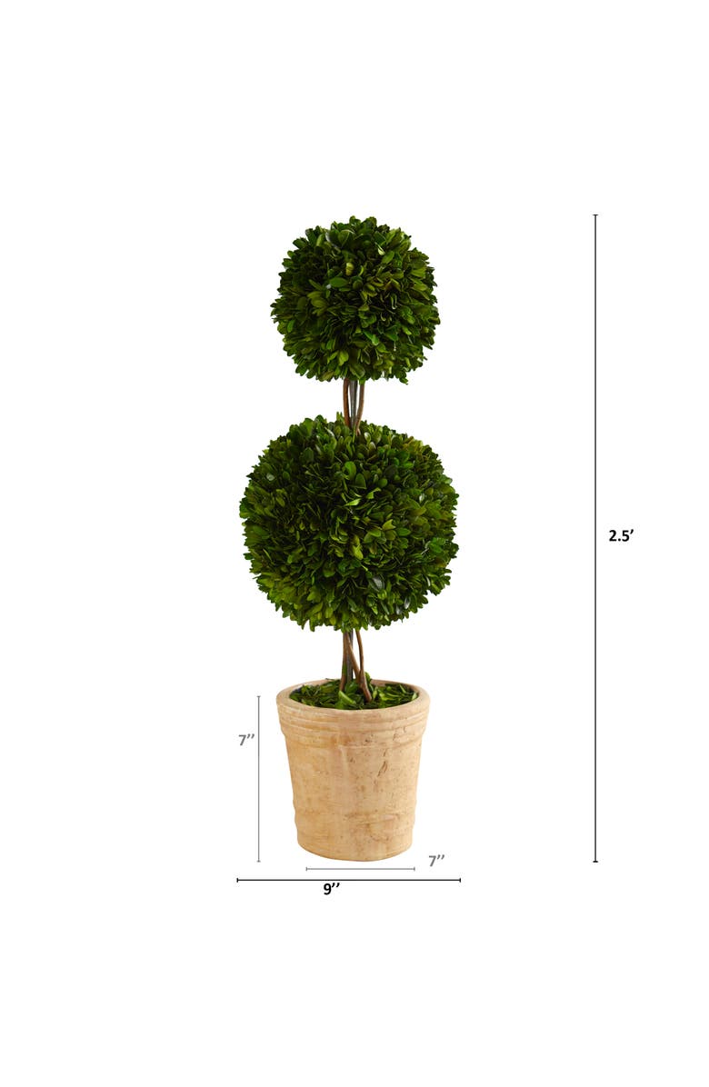 NEARLY NATURAL 2.5-ft Preserved Boxwood Double Ball Topiary Tree in Decorative Planter, Alternate, color, Green