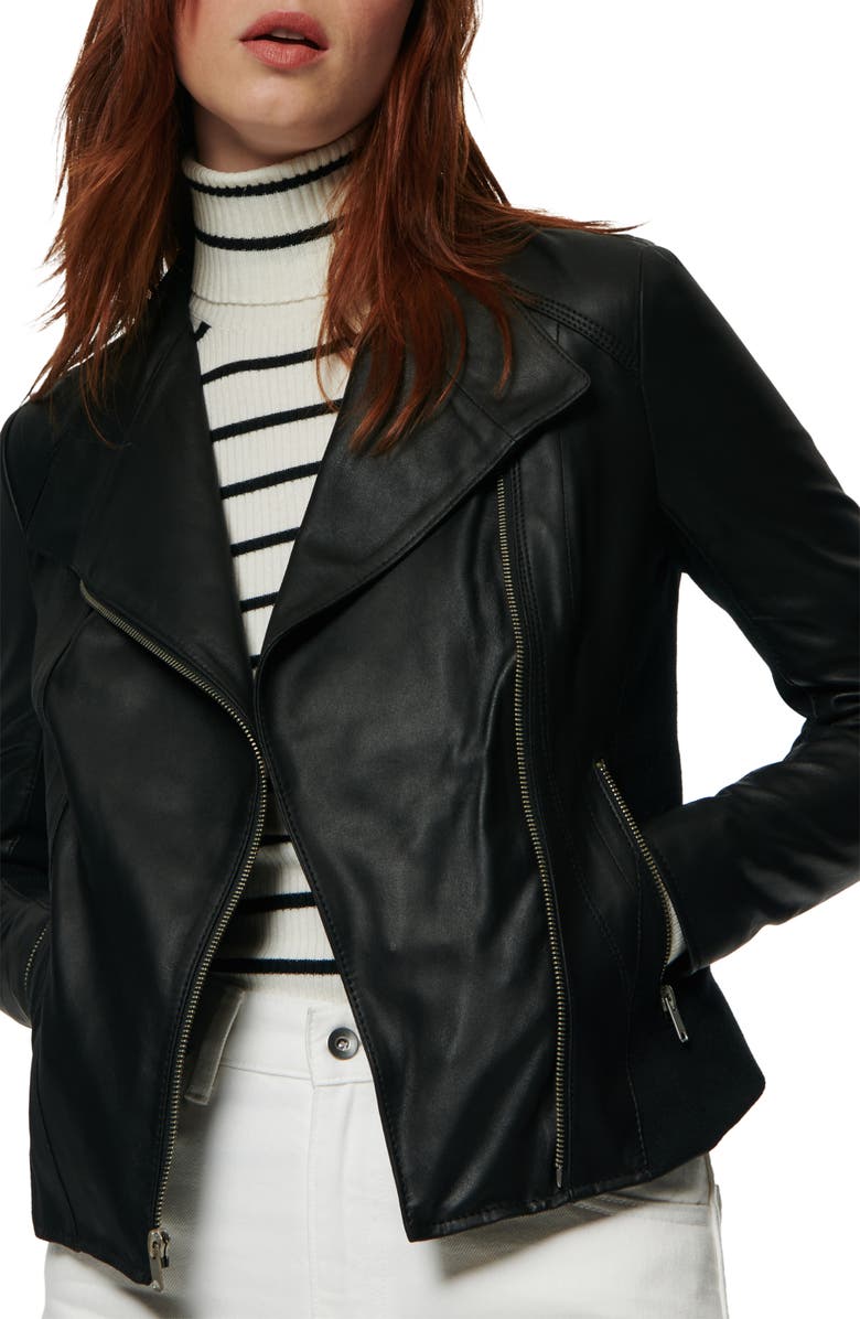 Andrew Marc Marc New York by Andrew Marc Felix Stand Collar Leather Jacket, Alternate, color, 