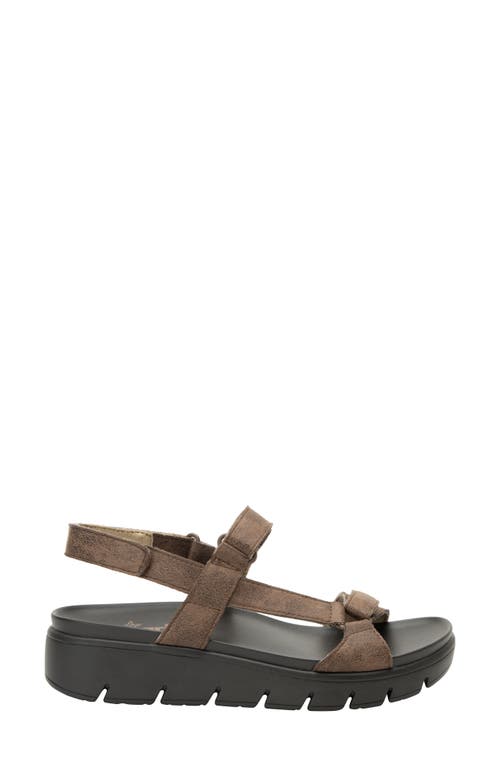 Alegria By Pg Lite Henna Slingback Platform Sandal In Brown