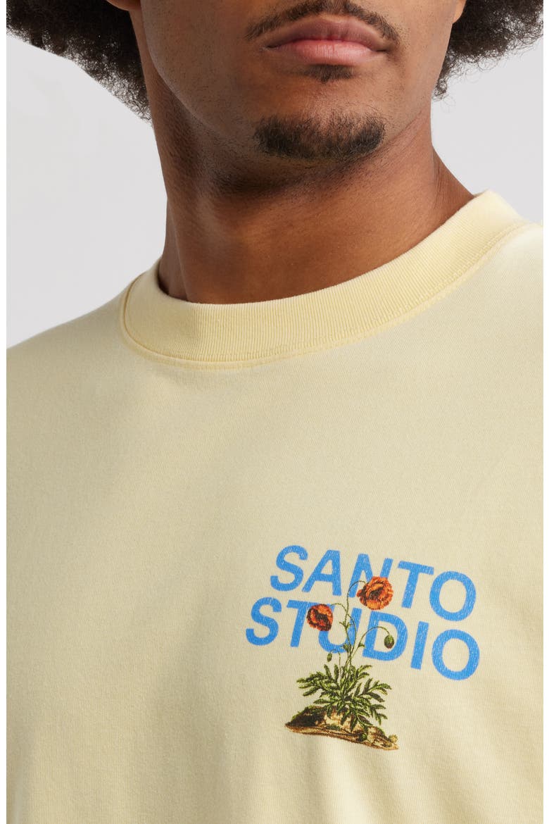 Rooted in Love Cotton Graphic T-Shirt, Alternate, color, SAND