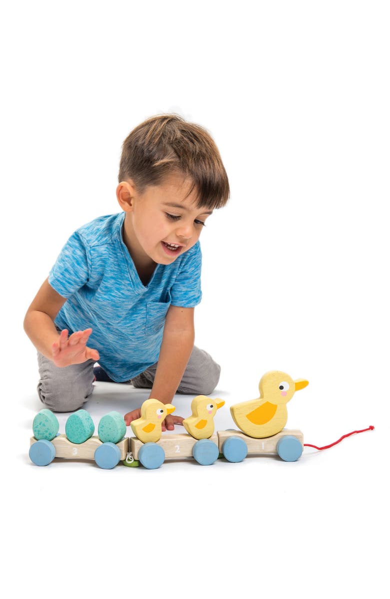 Tender Leaf Toys Pull Along Ducks Toy, Alternate, color, Yellow