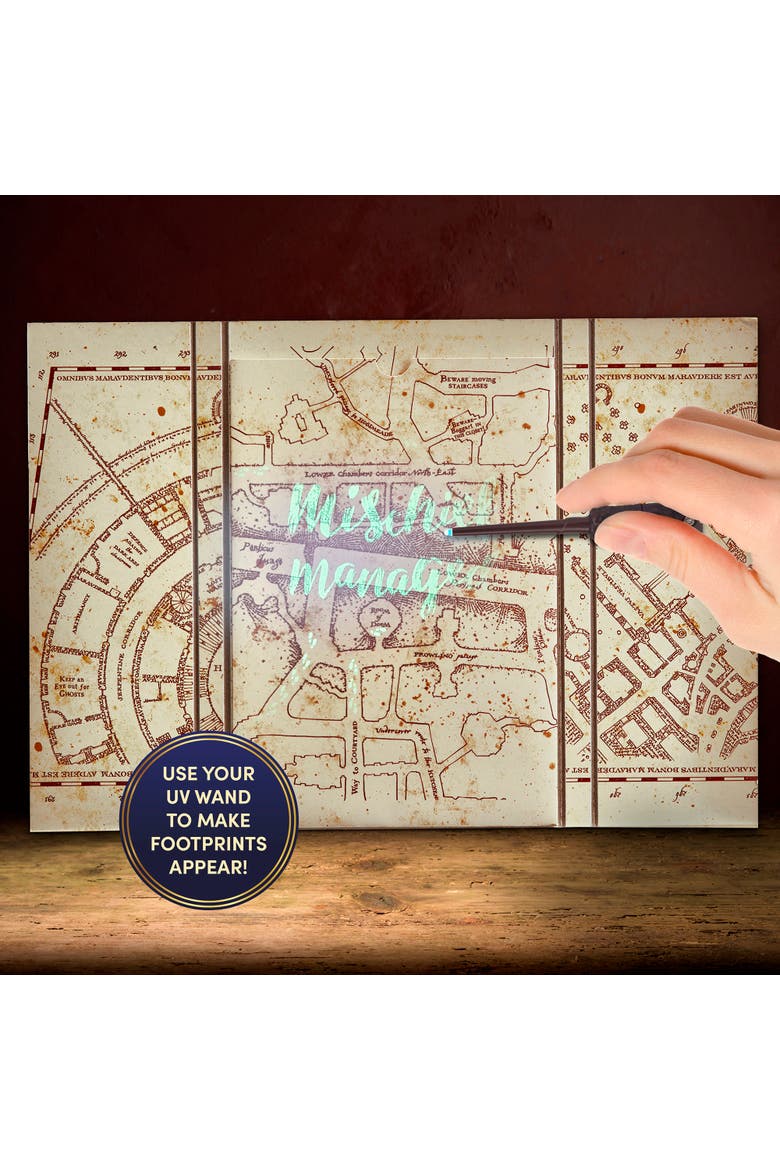 Harry Potter Diary Mischief Managed, Alternate, color, Multicolored
