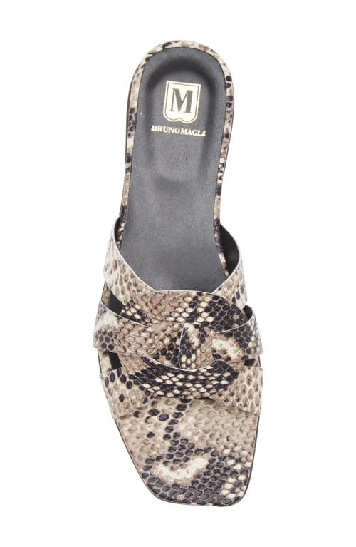 Bruno Magli Alessia Sandal In Black/white Snake