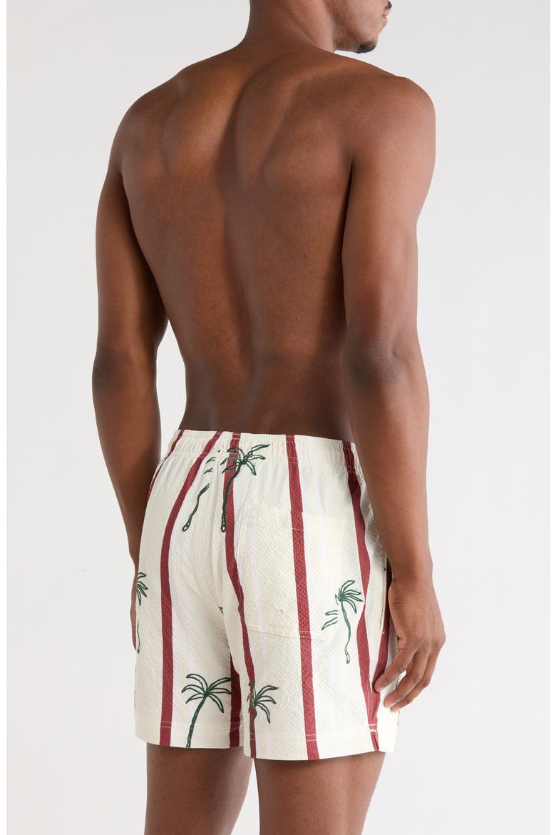 Palm Embroidered Stripe Swim Trunks, Alternate, color, GREEN/ WHITE