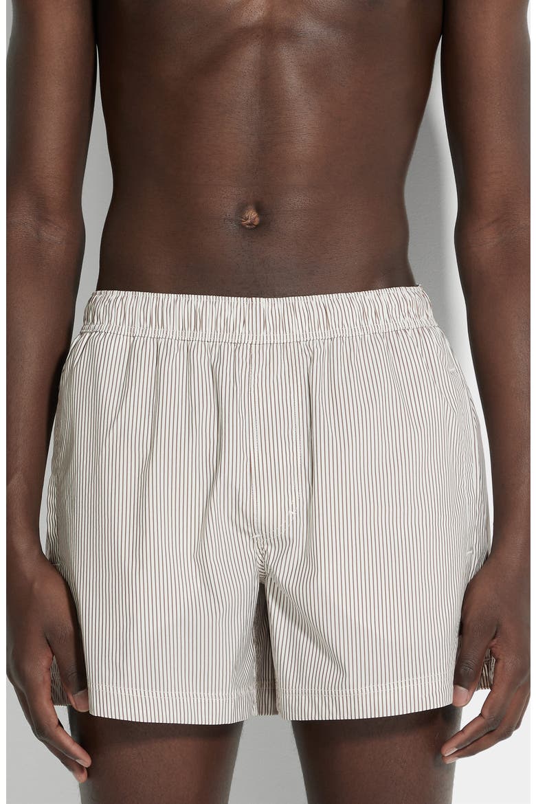 Pinstripe Swim Trunks, Main, color, WHITE STRIPED
