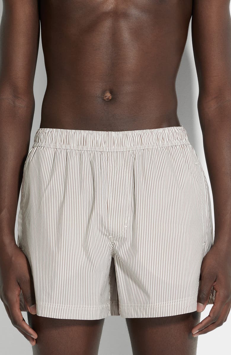 ZEGNA Pinstripe Swim Trunks, Main, color, White Striped