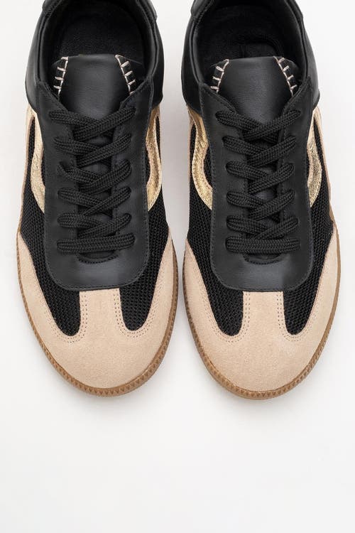Forever & Always Shoes Perry Leather Sneakers In Black Leather