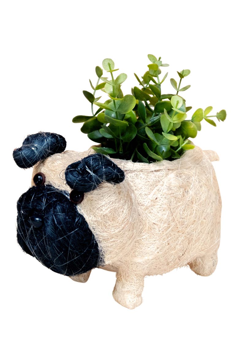 Baby Pug Handwoven Planter, Main, color, OFF WHITE / BLACK