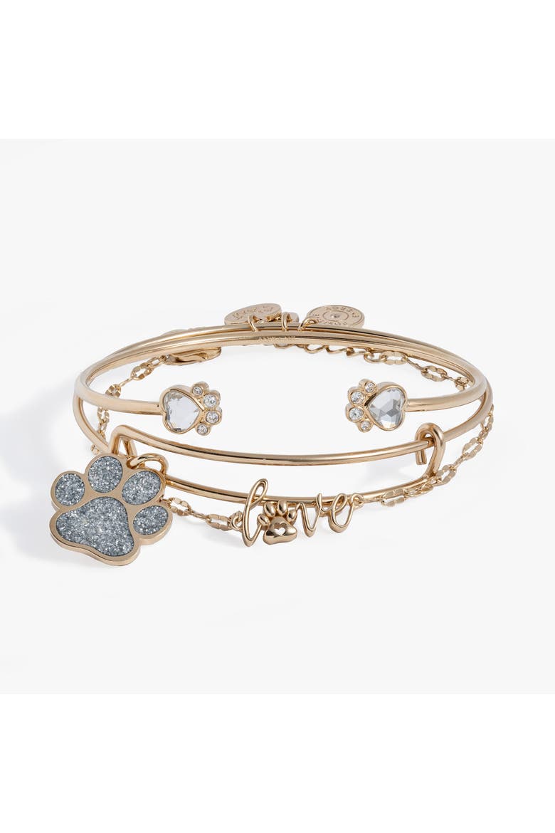 'Paws of Love' Bracelet Set of 3, Main, color, Gold