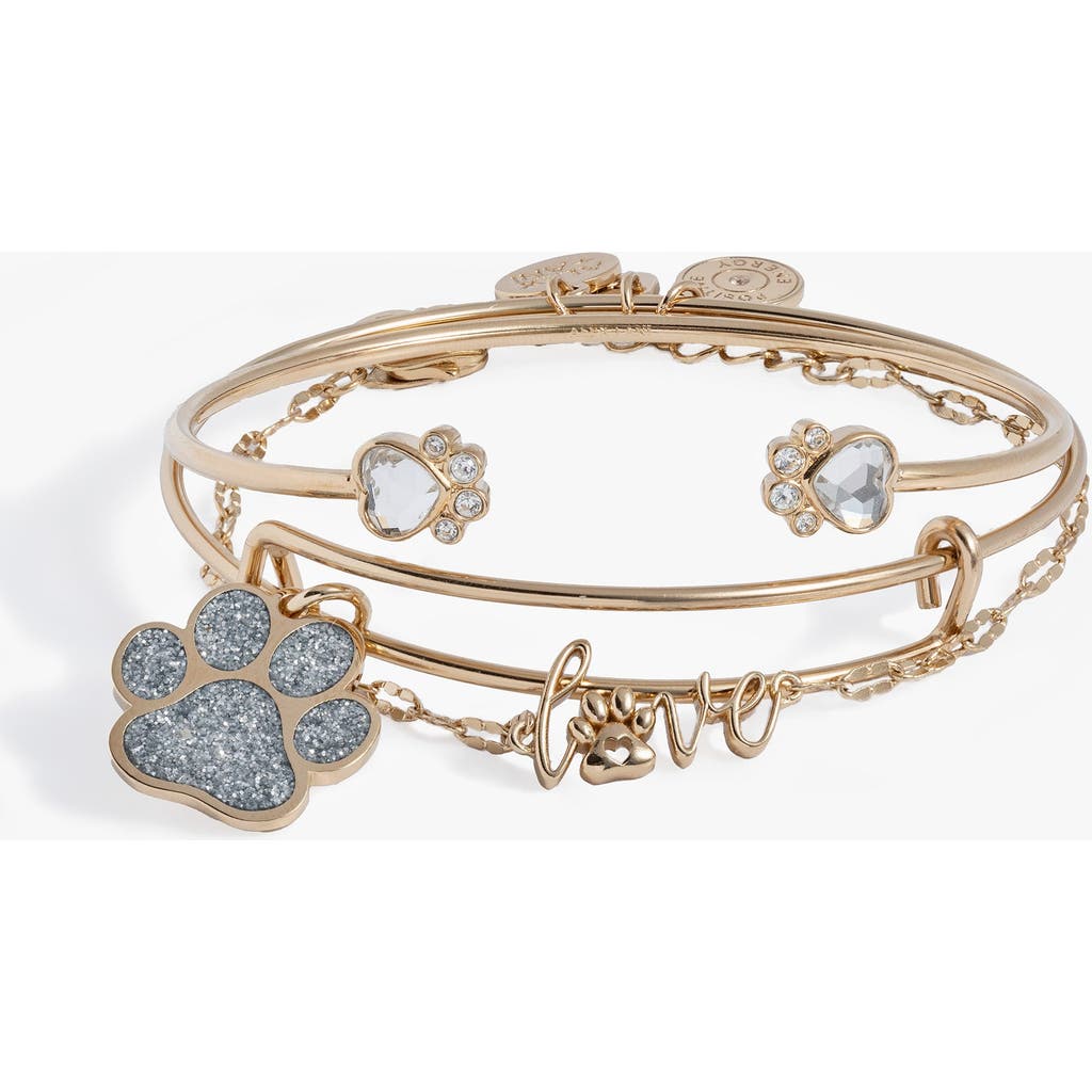 Alex and Ani 'Paws of Love' Bracelet Set of 3 in Gold at Nordstrom