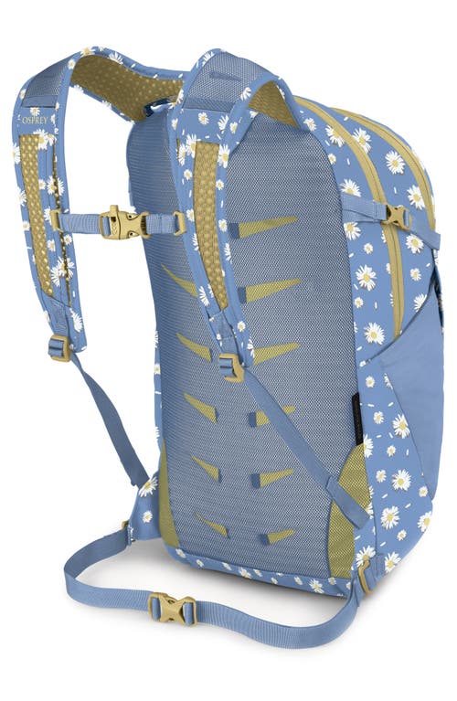 Osprey Daylite Plus Backpack In Blue