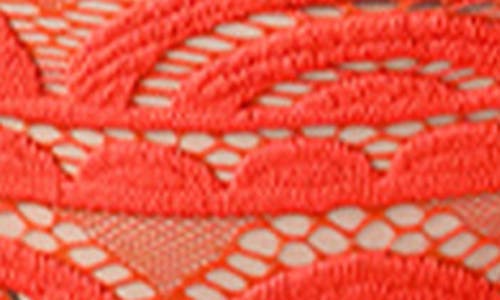 Pq Swim Hipster Bikini Bottoms In Multi