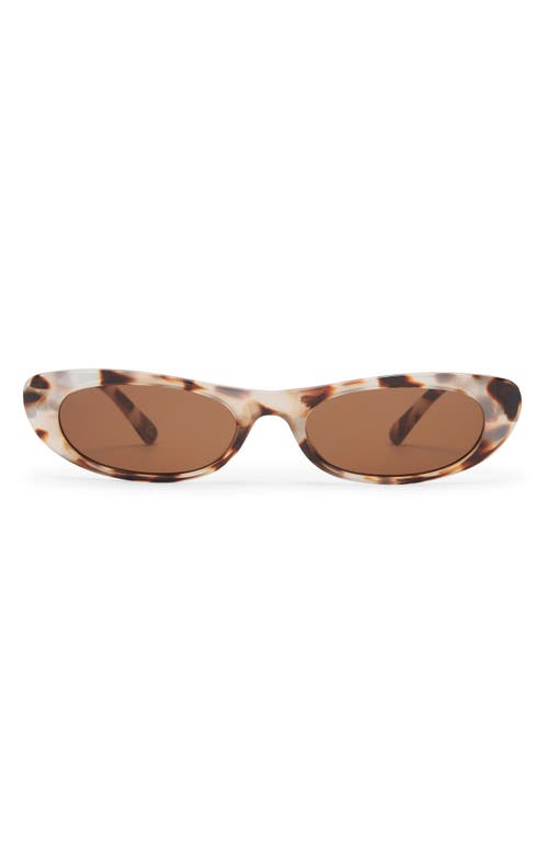 Aire Avior 53mm Cat Eye Sunglasses In Cookie Tort/brown Mono